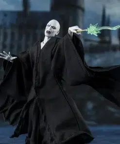 Lord Voldemort Action Figure