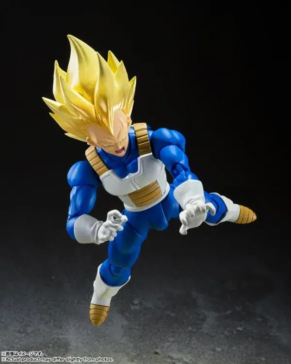 Vegeta Action Figure
